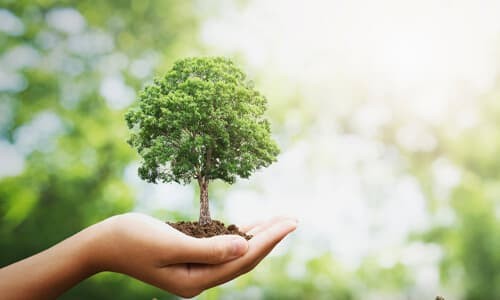 image links alt text