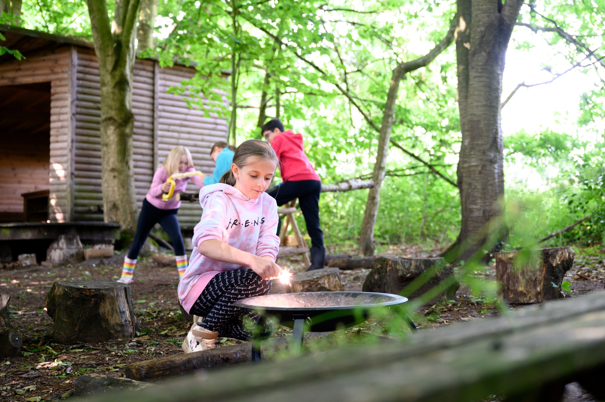 image links alt text